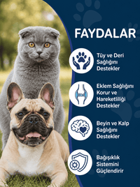 Kedi Maltı ve Somon Yağı Seti – 2 Adet Malt Macunu + 1 Adet Omega 3 Somon Yağı