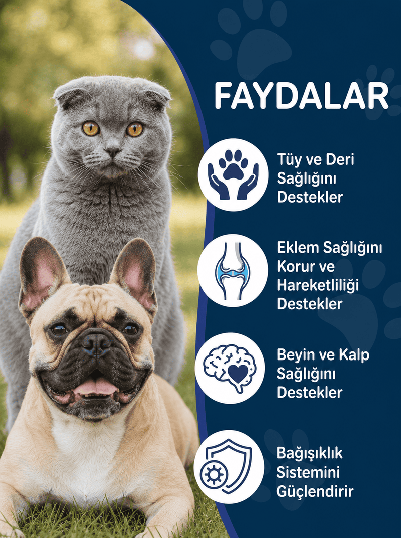 Kedi Maltı ve Somon Yağı Seti – 2 Adet Malt Macunu + 1 Adet Omega 3 Somon Yağı
