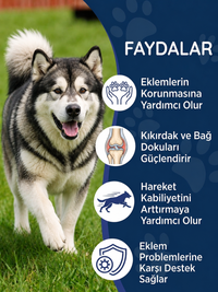 Köpek Multivitamin Immune 75 Tablet