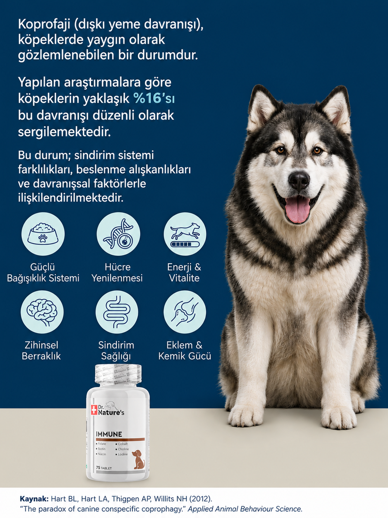 Köpek Multivitamin Immune 75 Tablet