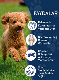 Köpek Glukozamin 75 Tablet