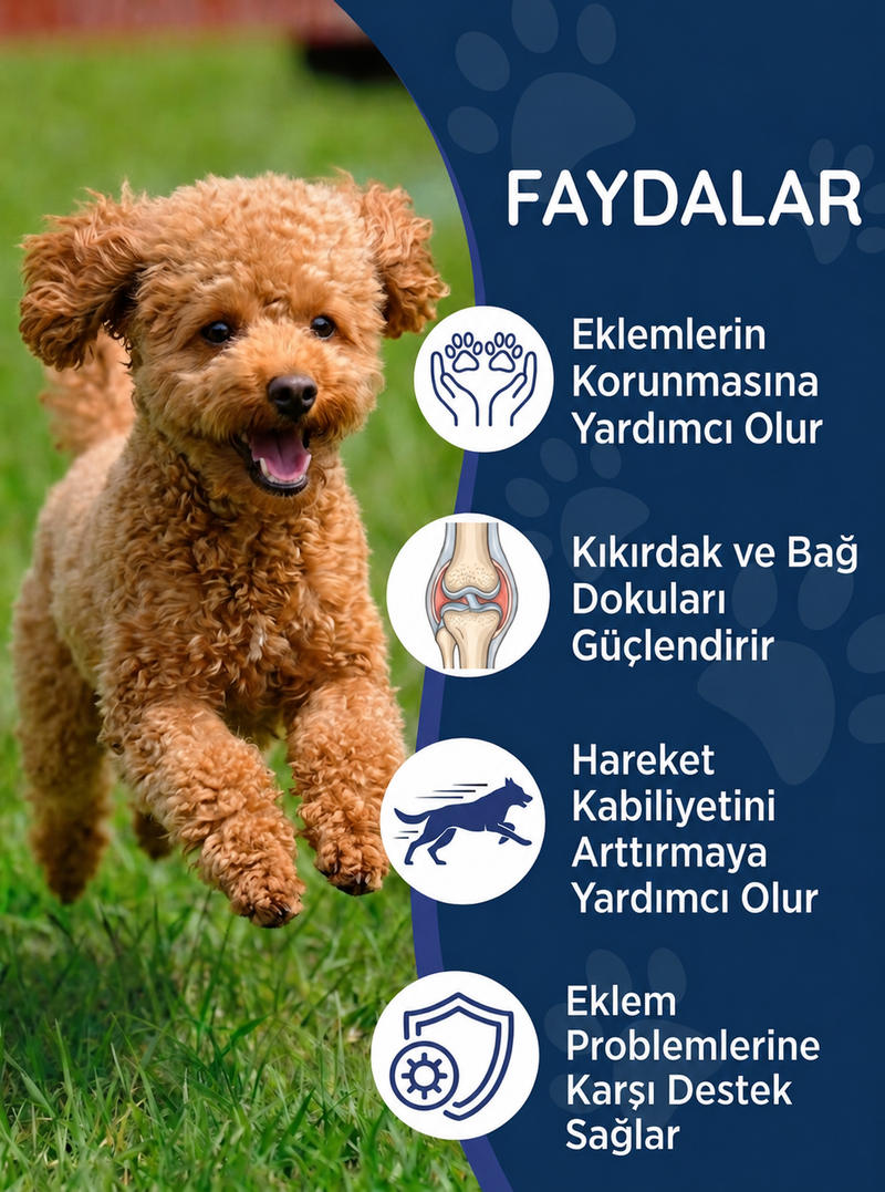 Köpek Glukozamin 75 Tablet
