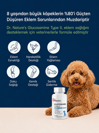 Köpek Glukozamin 75 Tablet