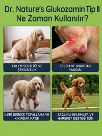Köpek Glukozamin 75 Tablet