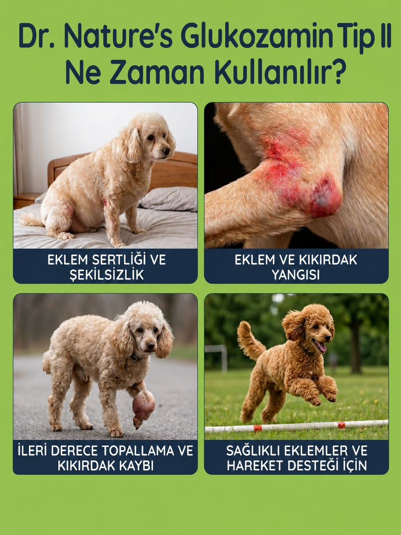 Köpek Glukozamin 75 Tablet