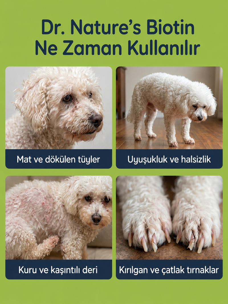Köpek Biotin 75 Tablet