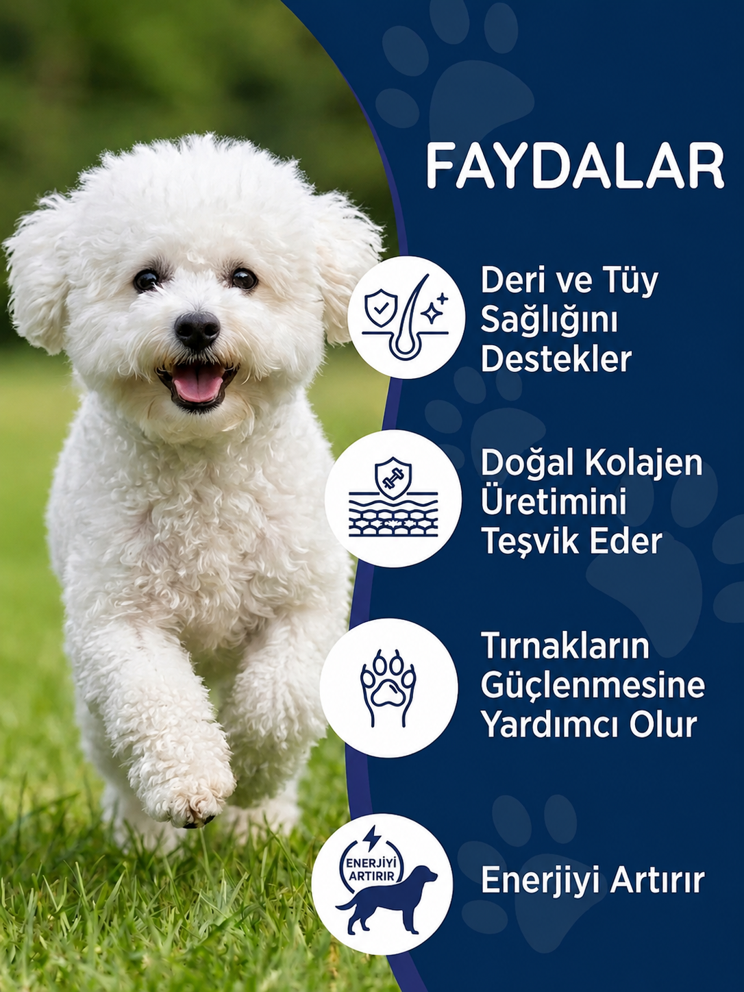 Köpek Tüy Damla 50 ml
