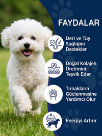 Köpek Tüy Damla 50 ml