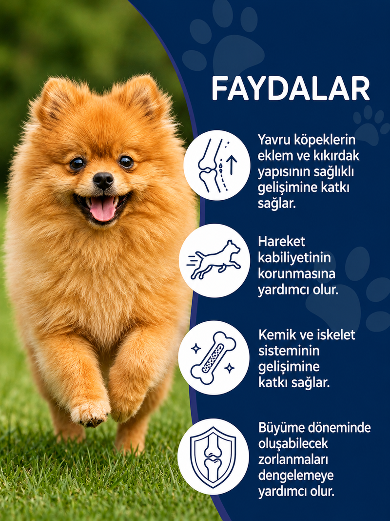 Yavru Köpek Eklem Destekleyici 75 Tablet