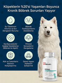 Köpek Renal Destek 75 Tablet