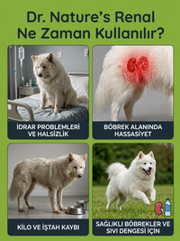 Köpek Renal Destek 75 Tablet