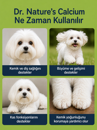 Köpek Kalsiyum 75 Tablet