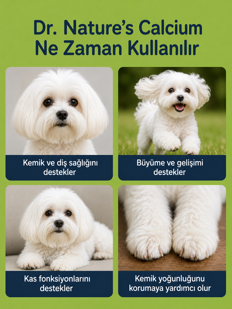 Köpek Kalsiyum 75 Tablet