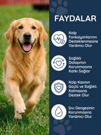 Köpek Cardiac 75 Tablet