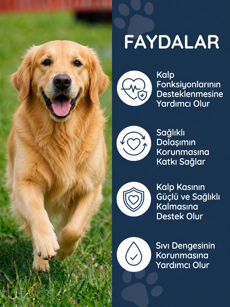Köpek Cardiac 75 Tablet