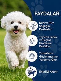 Köpek Biotin 75 Tablet