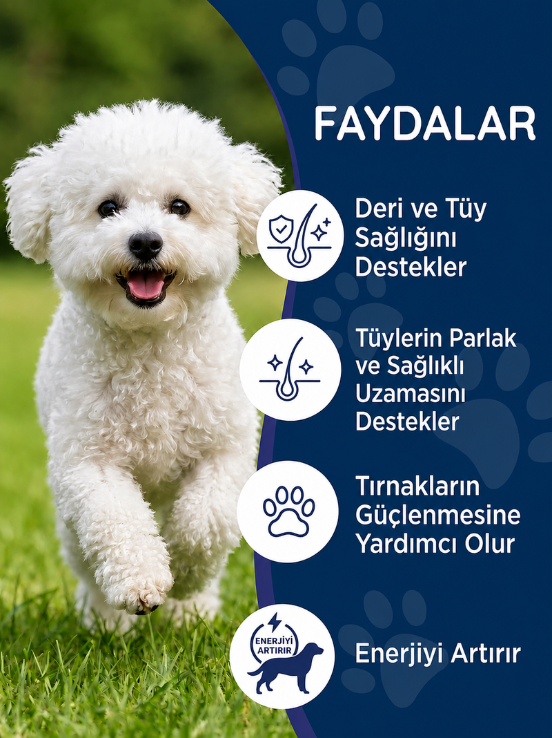 Köpek Biotin 75 Tablet