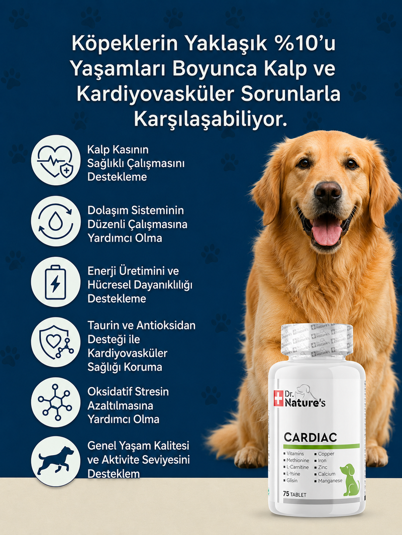 Köpek Cardiac 75 Tablet
