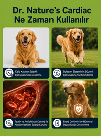 Köpek Cardiac 75 Tablet