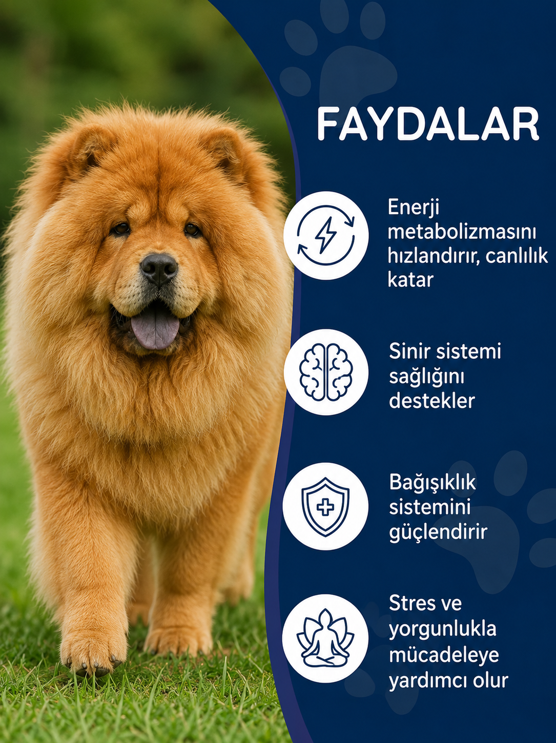 Köpek B Complex ve C Vitamini  75 Tablet