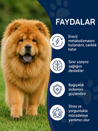 Köpek B Complex ve C Vitamini  75 Tablet
