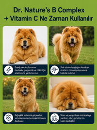 Köpek B Complex ve C Vitamini  75 Tablet