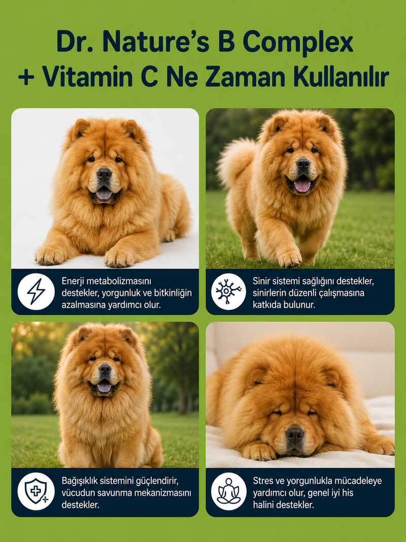 Köpek B Complex ve C Vitamini  75 Tablet