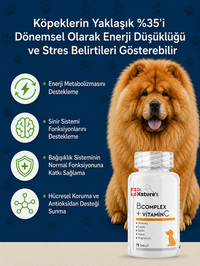 Köpek B Complex ve C Vitamini  75 Tablet