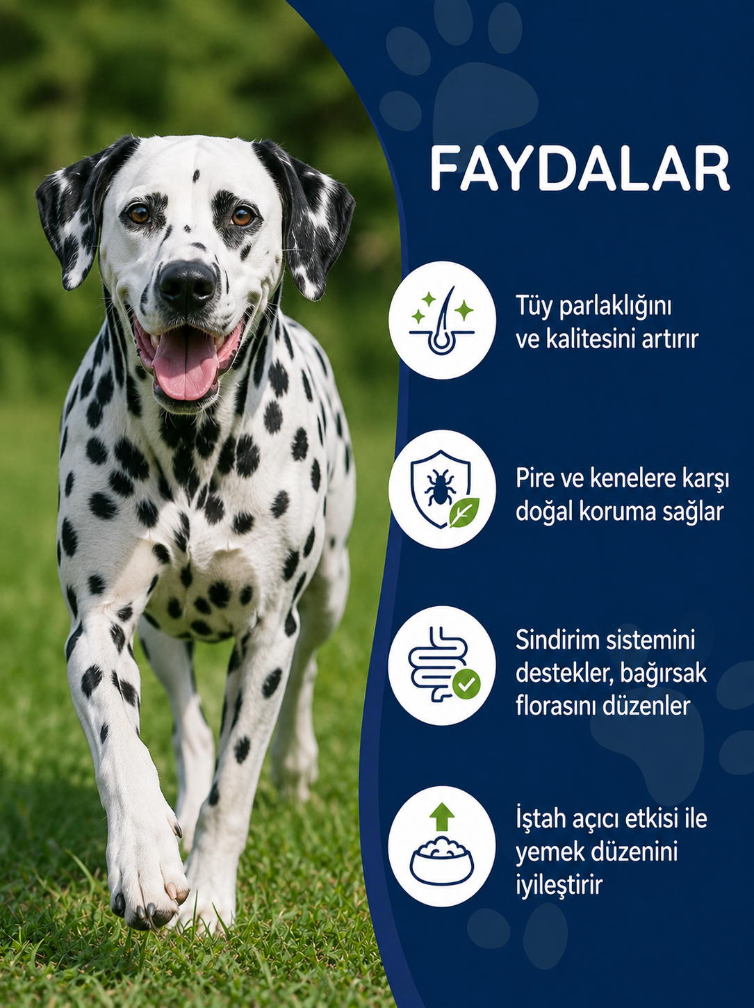 Köpek Brewer’s Yeast 75 Tablet