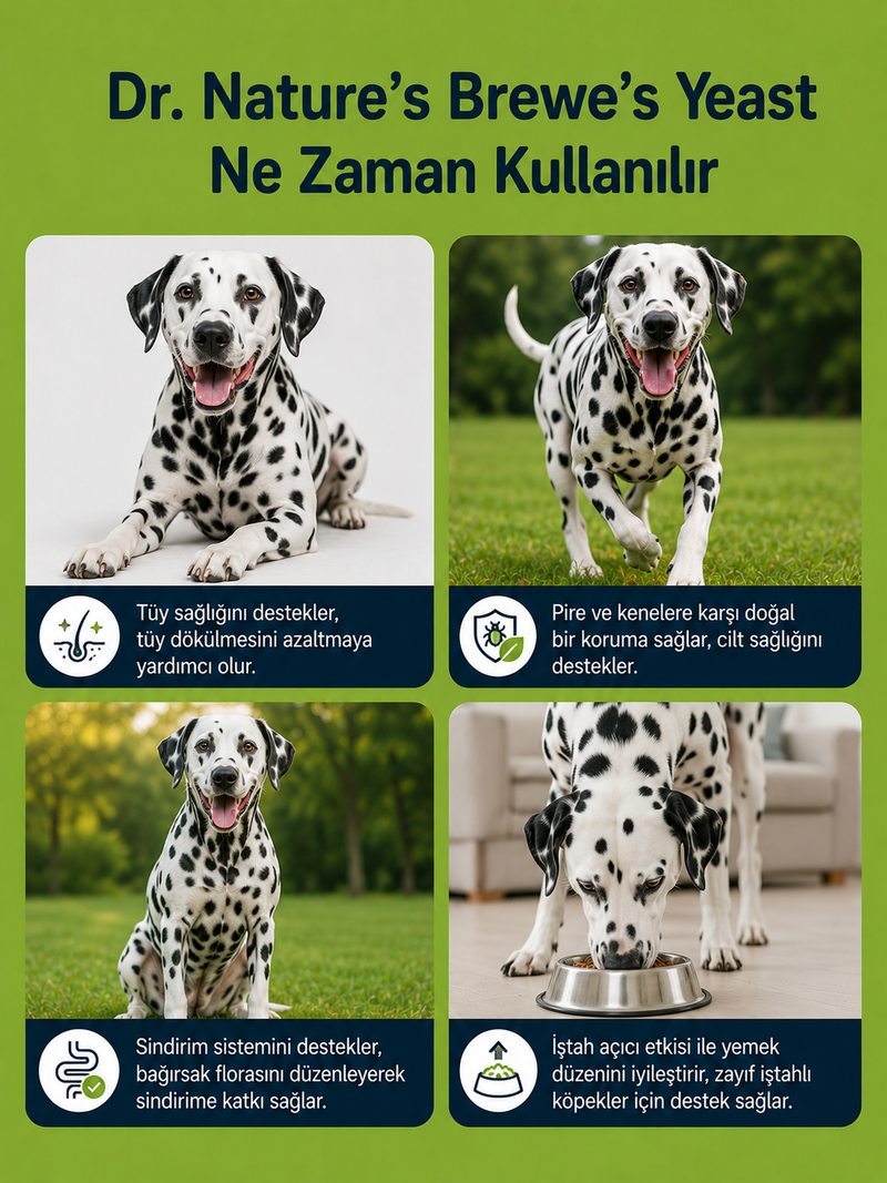 Köpek Brewer’s Yeast 75 Tablet