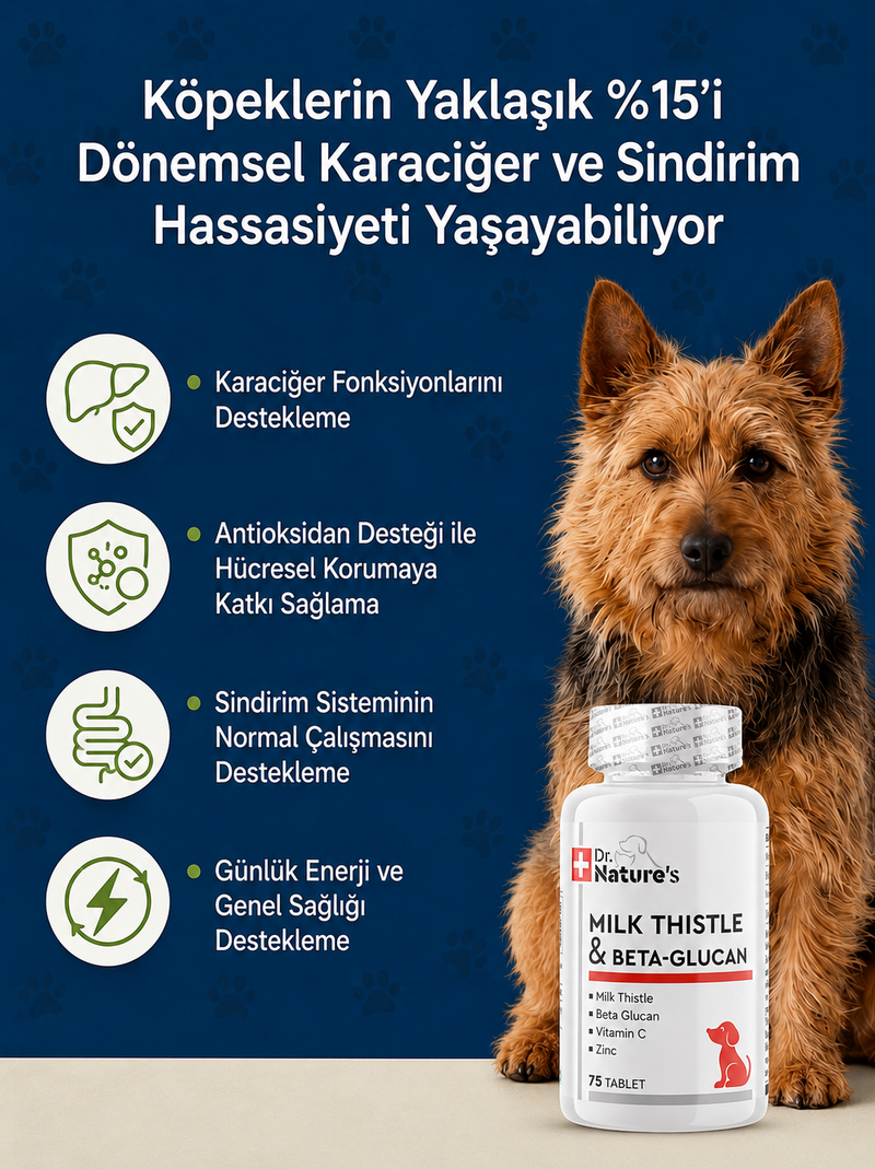 Köpek Milk Thistle ve Beta Glukan 75 Tablet