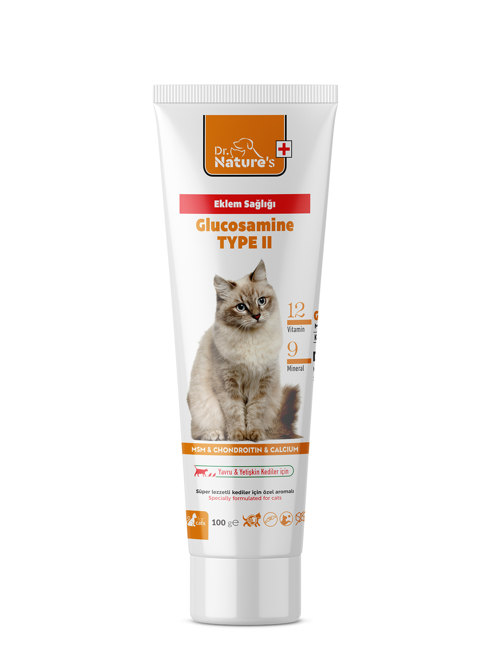 Kedi Glukozamin Maltı 100 gr