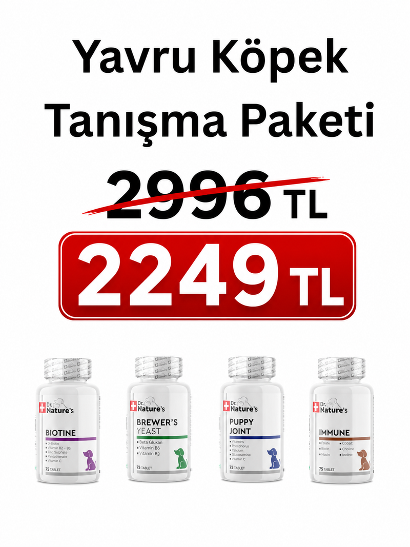Yavru Köpekler İçin Tepeden Tırnağa Tam Bakım Paketi 4 Farklı Özel Formüllü Tablet Kombini