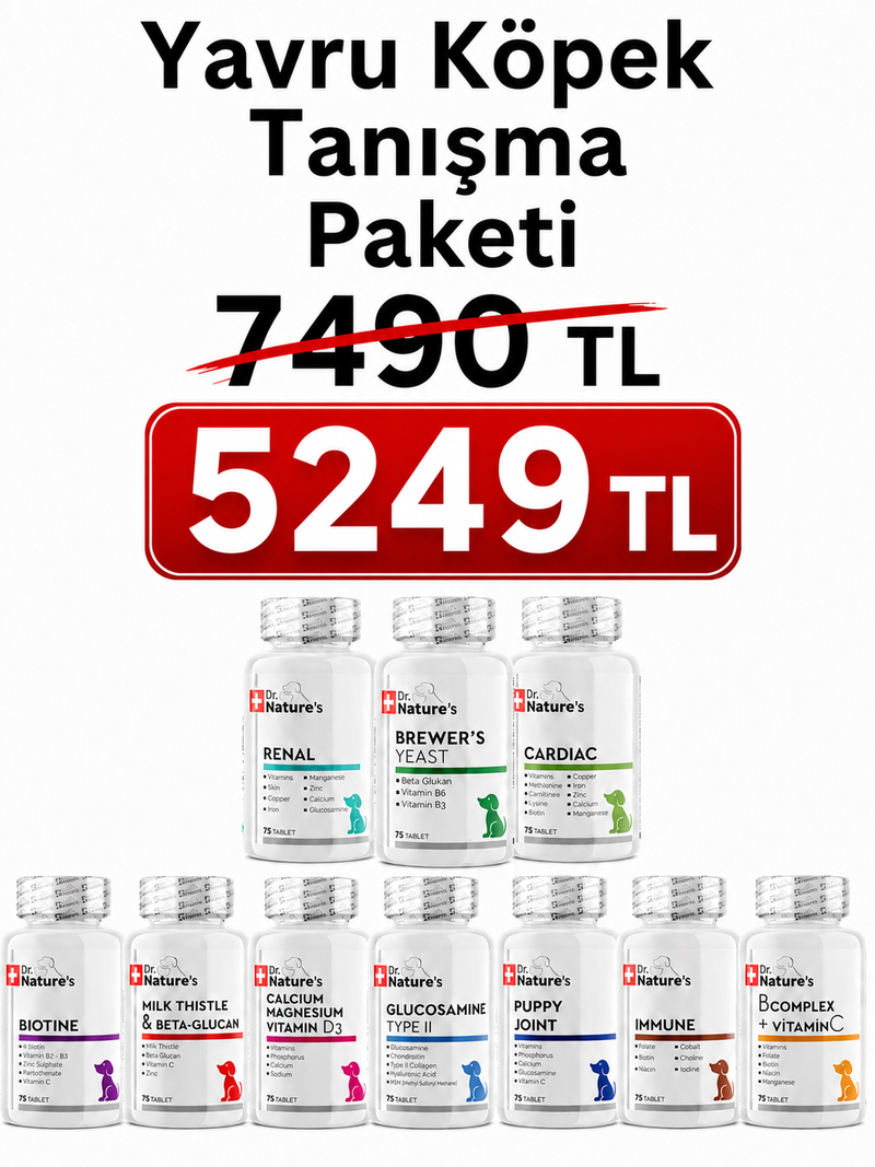 Yavru Köpek Tablet Tanışma Paketi – Glukozamin, Biotin, Immune, Milk Thistle, B Complex, Cardiac, Renal, Brewers Yeast, Calcium ve Puppy Joint Seti - 10'lu Tablet Destek Seti