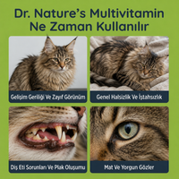 Kedi Multivitamin Maltı 100 gr