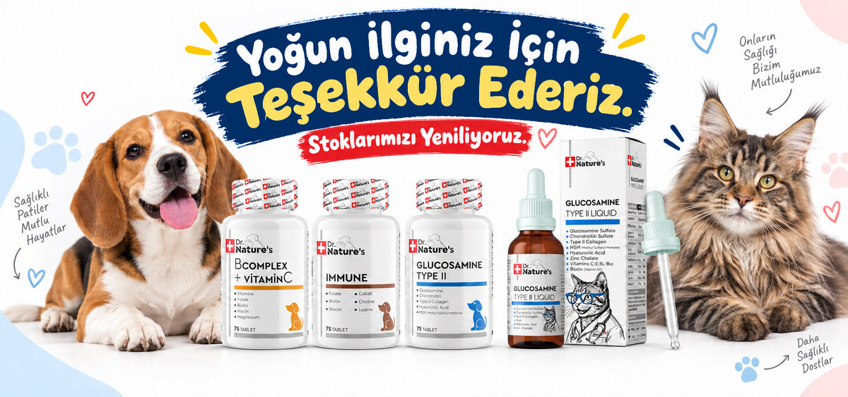 slider image slider_item_D787tW