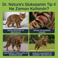 Kedi Glukozamin Maltı 100 gr