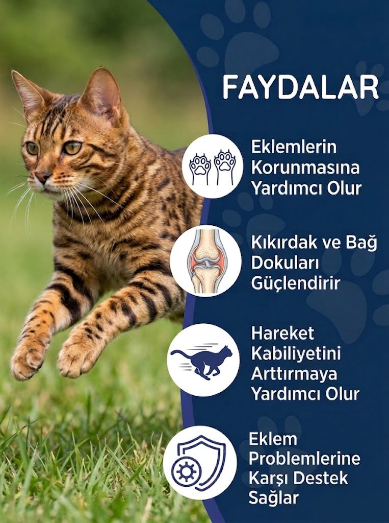 Kedi Glukozamin Maltı 100 gr