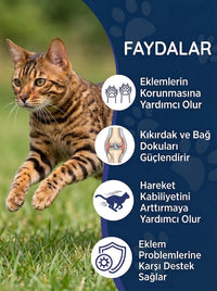 Kedi Glukozamin Maltı 100 gr