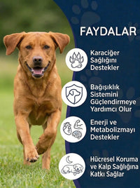 Köpek Milk Thistle (Devedikeni) Damla 50 ml