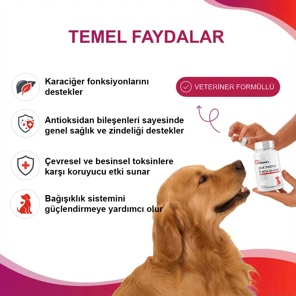 Milk Thistle ve Beta Glukan