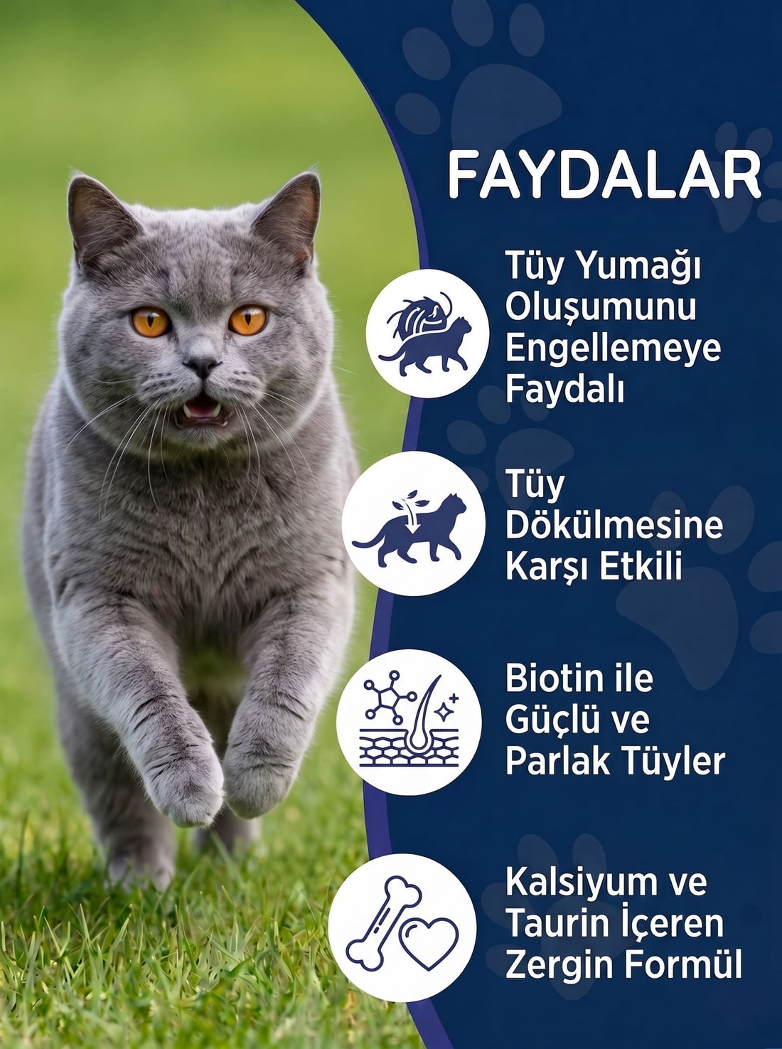 Kedi Maltı ve Somon Yağı Seti – 2 Adet Malt Macunu + 1 Adet Omega 3 Somon Yağı