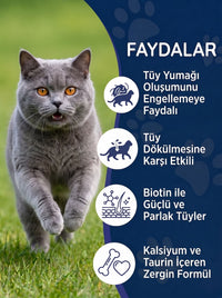 Kedi Maltı ve Somon Yağı Seti – 2 Adet Malt Macunu + 1 Adet Omega 3 Somon Yağı