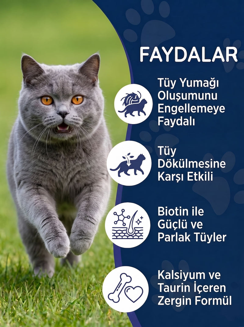 Kedi Maltı ve Somon Yağı Seti – 2 Adet Malt Macunu + 1 Adet Omega 3 Somon Yağı