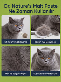 Kedi Maltı ve Somon Yağı Seti – 2 Adet Malt Macunu + 1 Adet Omega 3 Somon Yağı