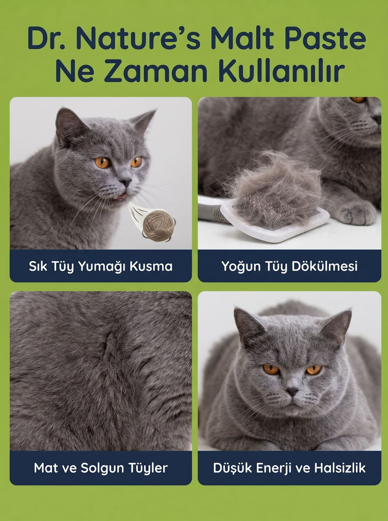 Kedi Maltı ve Somon Yağı Seti – 2 Adet Malt Macunu + 1 Adet Omega 3 Somon Yağı